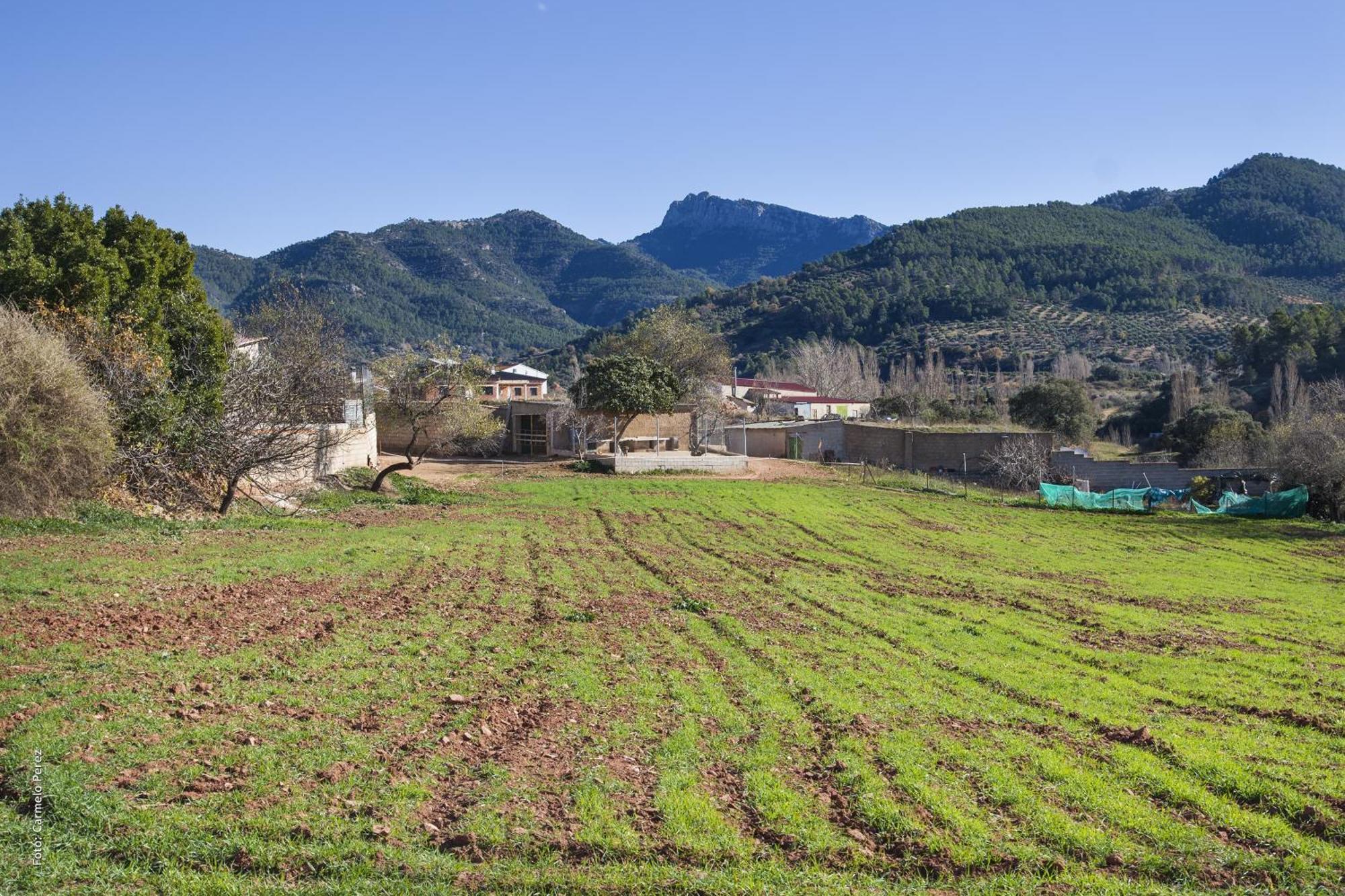 Casa Rural Chache Casto Bienservida Екстер'єр фото